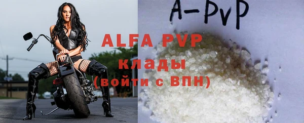 дживик Надым