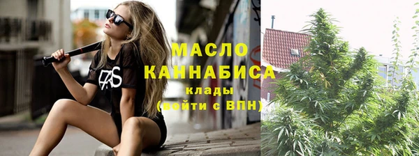 дживик Надым