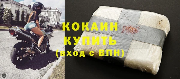 дживик Надым