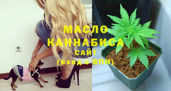 дживик Надым