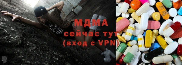 дживик Надым