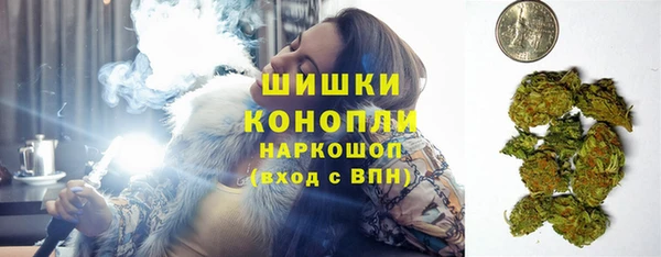 дживик Надым