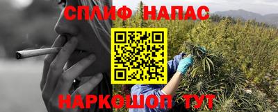 mdpv Донской