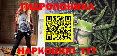 молекула духа Донецк