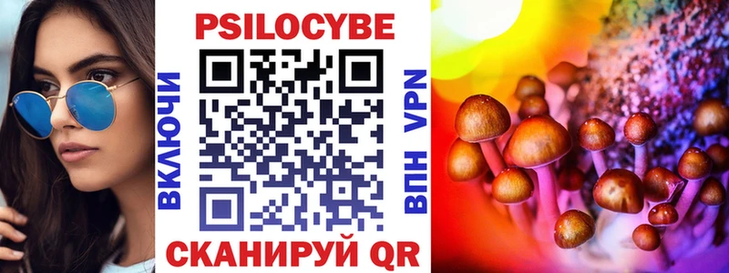 Псилоцибиновые грибы мухоморы  где можно купить наркотик  Магадан 