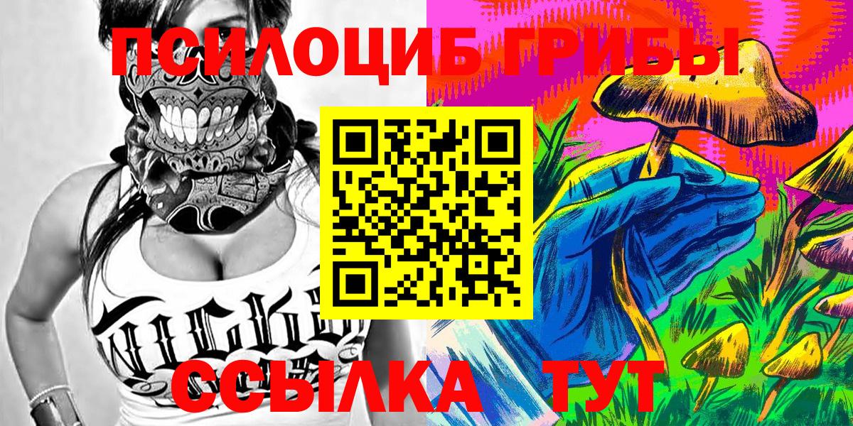 Магадан  Псилоцибиновые грибы Cubensis  Вход с VPN 