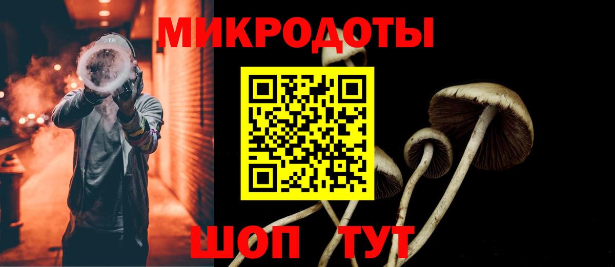 Галлюциногенные грибы GOLDEN TEACHER Магадан