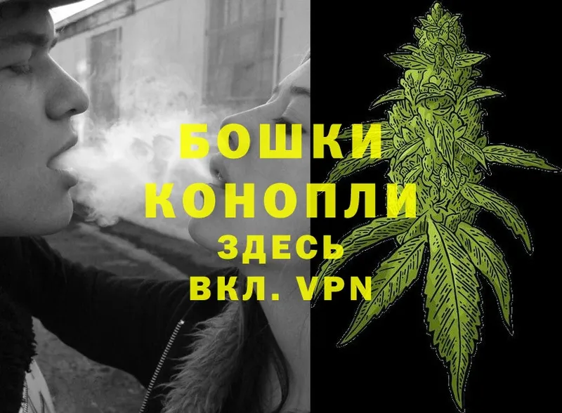 Каннабис OG Kush  Магадан 